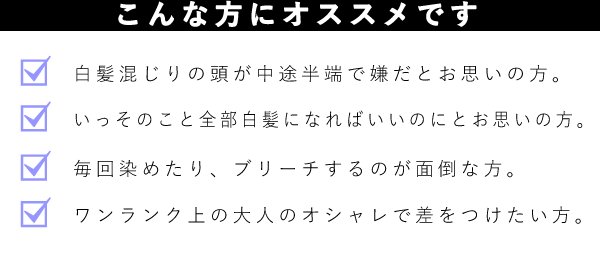 Silver Ash|シルバーアッシュ